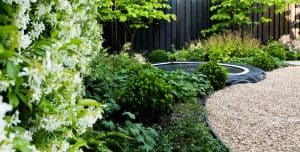 Moderne-gezinstuin-Bosman-Tuinadvies