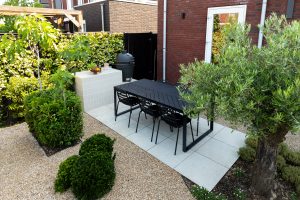 Moderne-gezinstuin-Bosman-Tuinadvies