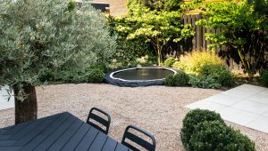 Moderne-gezinstuin-Bosman-Tuinadvies