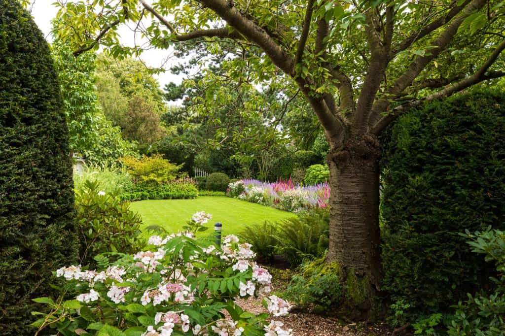 landelijke klassieke tuin dutch quality gardens bosman tuinadvies (1)