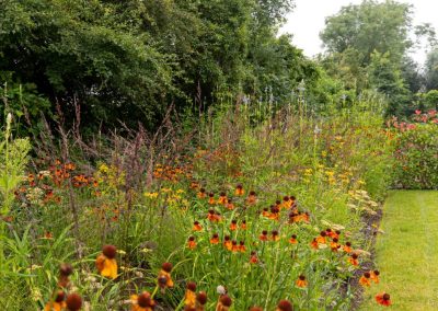 landelijke tuin met vijver en waterelementen dutch quality gardens bosman tuinadvies (3)