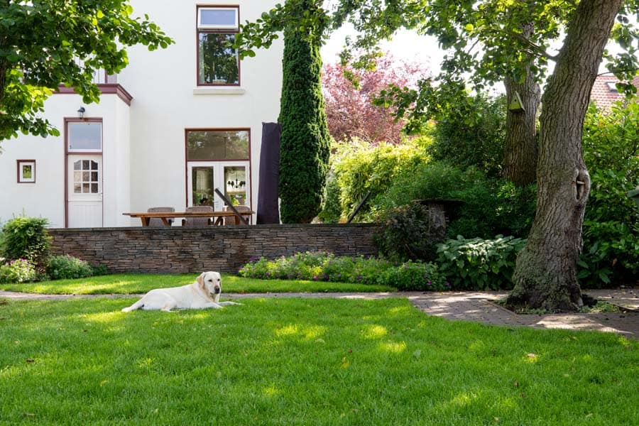 stadstuin in klassieke stijl (10)