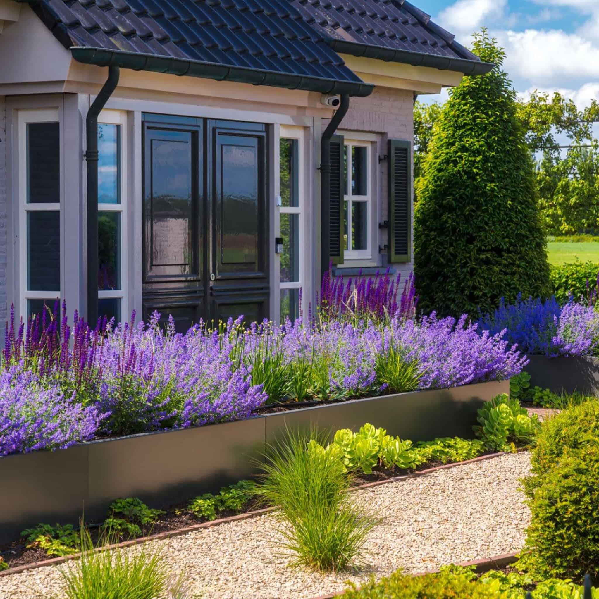 Tuinadvies-Dutch-Quality-Gardens-1x1-05-1