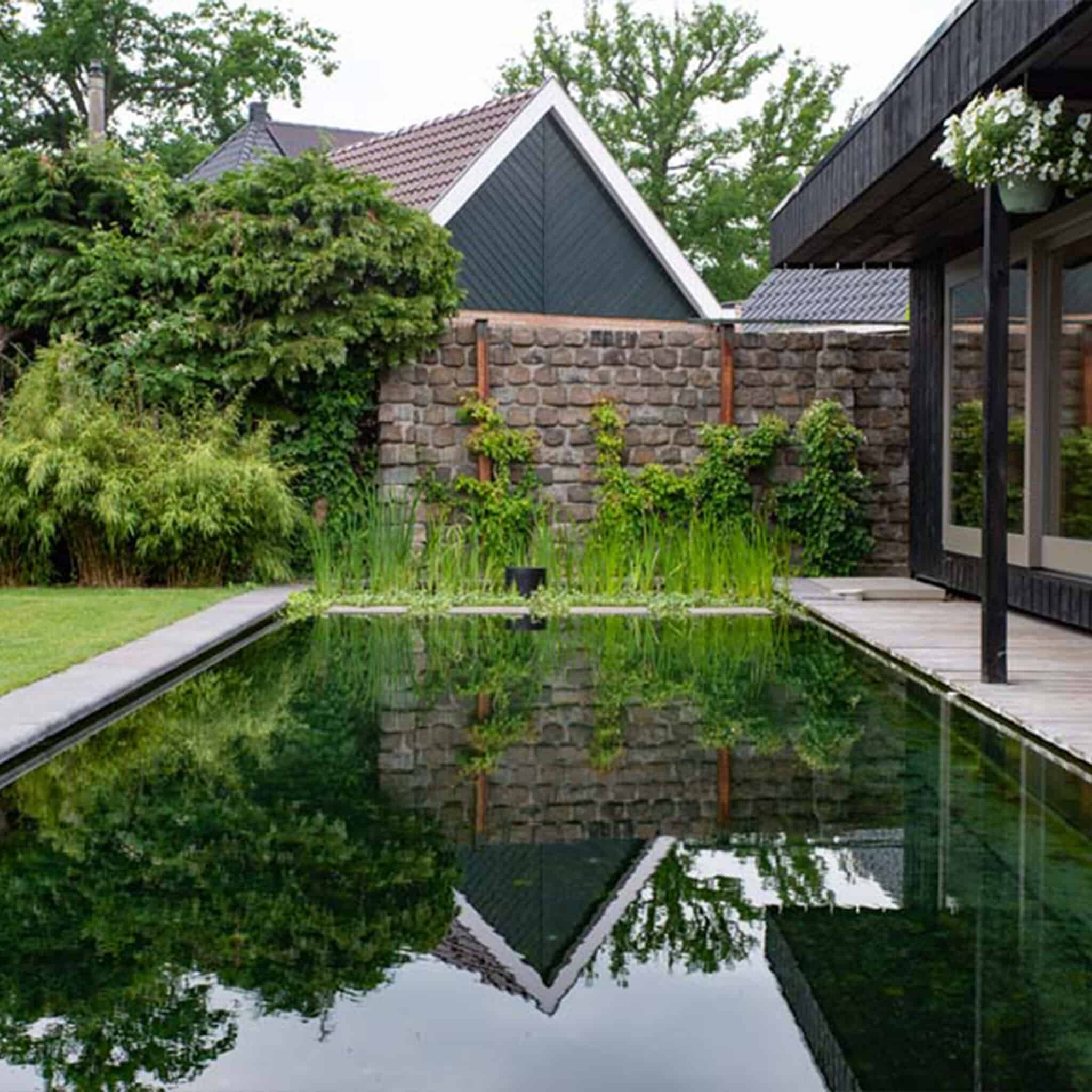 Zwemvijver-Dutch-Quality-Gardens-1x1-07