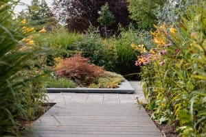 Landelijke tuin-Bosman-Tuinadvies