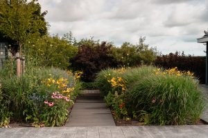 Landelijke tuin-Bosman-Tuinadvies