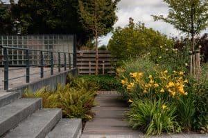 Landelijke tuin-Bosman-Tuinadvies