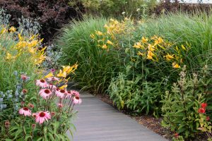 Landelijke tuin-Bosman-Tuinadvies