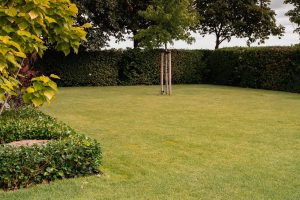 Landelijke tuin-Bosman-Tuinadvies