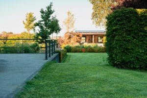 Landelijke tuin-Bosman-Tuinadvies