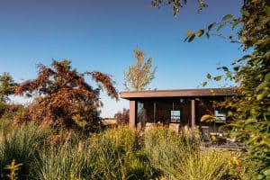 Landelijke tuin-Bosman-Tuinadvies