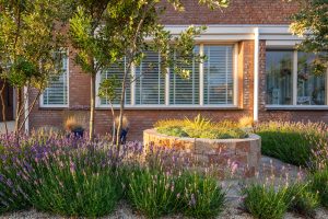 Onderhoudsvriendelijke-tuin-Bosman-Tuinadvies