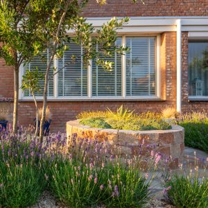 Onderhoudsvriendelijke-tuin-Bosman-Tuinadvies