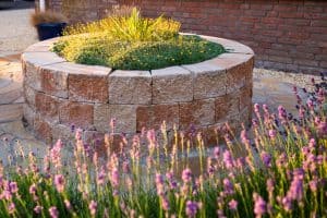 Onderhoudsvriendelijke-tuin-Bosman-Tuinadvies
