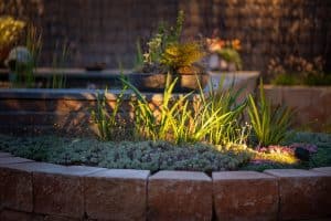 Onderhoudsvriendelijke-tuin-Bosman-Tuinadvies