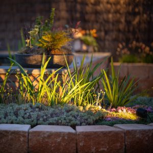 Onderhoudsvriendelijke-tuin-Bosman-Tuinadvies
