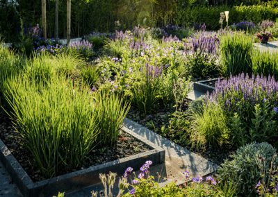 Moderne Tuin Bosman Tuinadvies 10