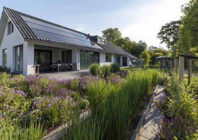 Moderne Tuin Bosman Tuinadvies 9