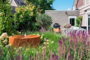 Sfeervolle-groene-tuin-Bosman-Tuinadvies