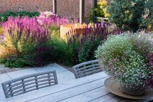 Sfeervolle-groene-tuin-Bosman-Tuinadvies