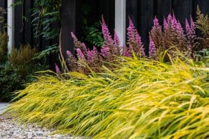 Sfeervolle-groene-tuin-Bosman-Tuinadvies
