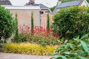 Sfeervolle-groene-tuin-Bosman-Tuinadvies