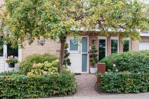 Sfeervolle-groene-tuin-Bosman-Tuinadvies