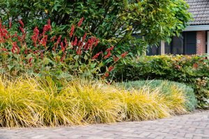 Sfeervolle-groene-tuin-Bosman-Tuinadvies