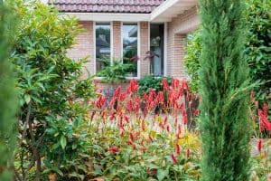 Sfeervolle-groene-tuin-Bosman-Tuinadvies