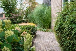 Sfeervolle-groene-tuin-Bosman-Tuinadvies