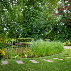 Natuurlijke-zwemvijver-Bosman-Tuinadvies