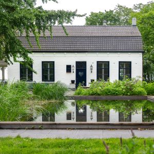 Natuurlijke-zwemvijver-Bosman-Tuinadvies