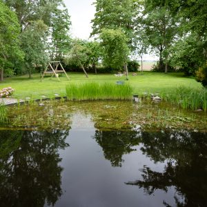 Natuurlijke-zwemvijver-Bosman-Tuinadvies