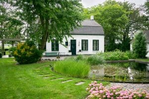 Natuurlijke-zwemvijver-Bosman-Tuinadvies
