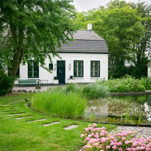 Natuurlijke-zwemvijver-Bosman-Tuinadvies