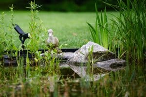 Natuurlijke-zwemvijver-Bosman-Tuinadvies