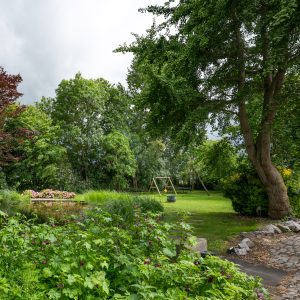 Natuurlijke-zwemvijver-Bosman-Tuinadvies