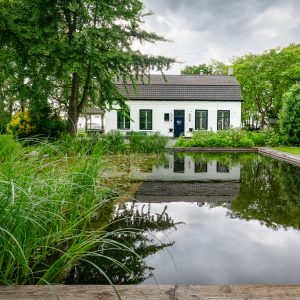 Natuurlijke-zwemvijver-Bosman-Tuinadvies