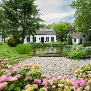 Natuurlijke-zwemvijver-Bosman-Tuinadvies