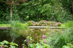 Natuurlijke-zwemvijver-Bosman-Tuinadvies