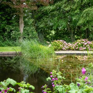 Natuurlijke-zwemvijver-Bosman-Tuinadvies