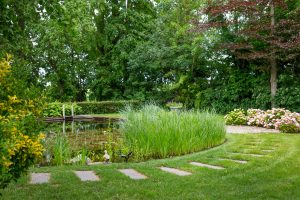 Natuurlijke-zwemvijver-Bosman-Tuinadvies